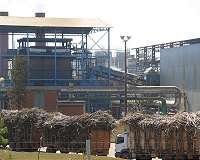 The use of sugarcane straw for bioenergy is an opportunity, but there are pros and cons