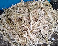 Alkol Biotech sells large batch of sugarcane bagasse for 2G ethanol testing
