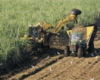 Florida megadeal aims to restore fabled wetlands, close US Sugar