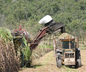Australia's CSR sells sugar arm for 1.47 billion US dollars