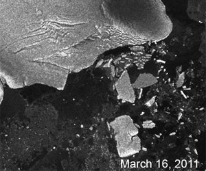 Tohoku Tsunami Created Icebergs In Antarctica