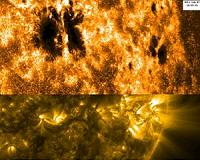 Hinode Views Sunspot Activity
