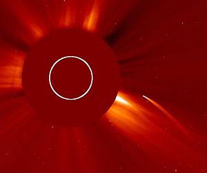 Catching a Comet Death on Camera