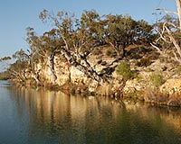 Despair as drought cripples 'Australia's Mississippi'