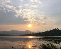Lake Victoria biodiversity being 'decimated': conservationists