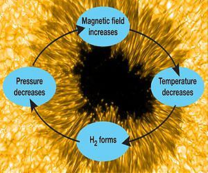 Cool Gas May Form and Strengthen Sunspots