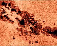 Sunspot Abundance Linked To Heavy Rains In East Africa