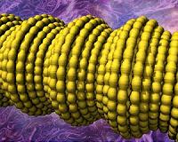 Nanotechnology research leads to super-elastic conducting fibers