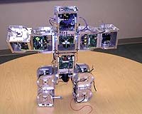 Vivid On-Line Videos Demonstrate SuperBot Progress