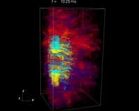 Collapsing super stars Hypernova or Gamma-Ray Bursts