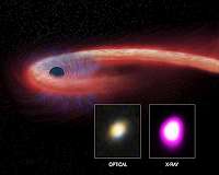 Black Hole Meal Sets Record for Duration and Size