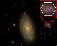 Supermassive Black Holes Can Overpower Even the Smallest Galaxies