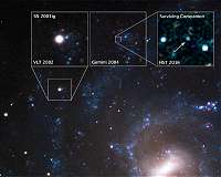 Stellar thief is the surviving companion to a supernova
