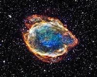 Exploded Star Blooms Like a Cosmic Flower