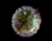 Action Replay Of Powerful Stellar Explosion