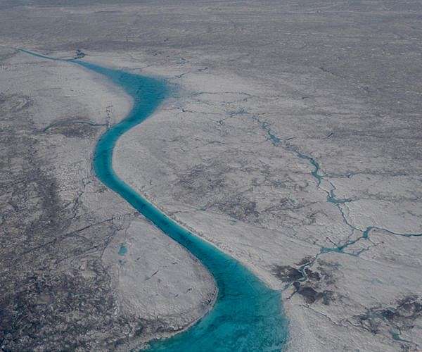 Resilient Algae Accelerate Greenland Ice Melt