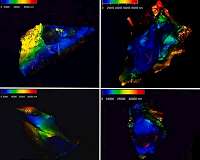 FEFU astrophysicists revealed ten-um silicate feature in large dust particles