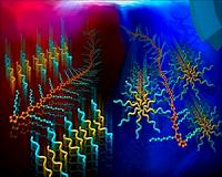 Engineers get a grip on slippery surfactants
