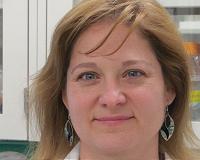 Exposure to chemicals released during fracking may harm fertility