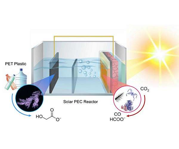 Ultrafast stabilization of positive charges revealed in solar fuel catalyst