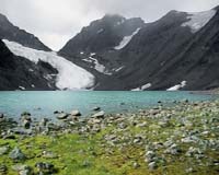 New Zealand glaciers retreat due to global warming: scientists