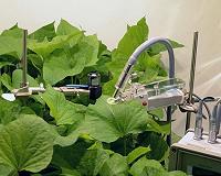 Biofeedback system designed to control photosynthetic lighting