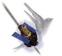 Swift Satellite Observes A Supernova Explosion In Real-Time