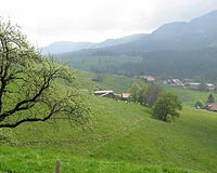 Swiss to vote on immigration cut 'to save environment'