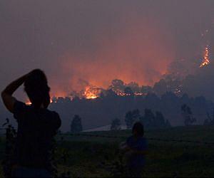 Fire scars big nature reserve in Ecuador's capital