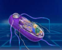New tool could help reshape the limits of synthetic biology