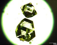 Researchers build world's largest database of crystal surfaces and shapes