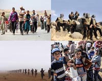 UN Syria envoy hails 'significant drop in violence'