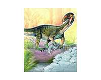 Scientists discover fossil of dinosaur ancestor with surprising croc-like appearance