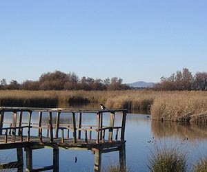Presence And Severity Of Pollution In National Parks Confirmed
