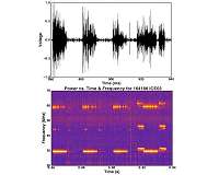 New insights could help tame speedy ions in fusion plasmas