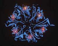 Taming electrons with bacteria parts