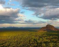 African protected area can support 10s of thousands of elephants