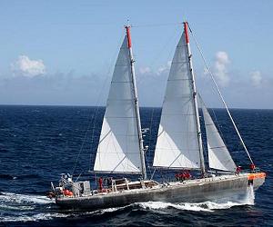 TARA OCEANS completes 60 000-mile journey to map marine biodiversity