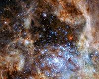 Hubble unveils monster stars