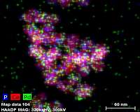 Surrounded by potential: New science in converting biomass