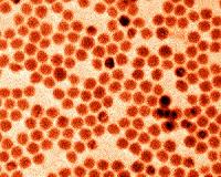 Antimony nanocrystals for batteries