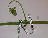 The first tendril-like soft robot able to climb