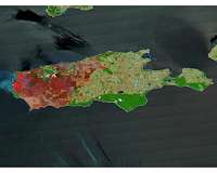 Race to save animals on Australia's fire-ravaged 'Galapagos'