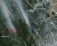 Indonesian forest fires putting 10 million children at risk: UN