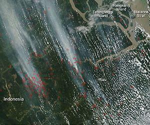 Indonesian farmers take legal action against president over haze