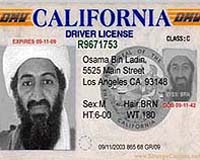 Why al-Qaida Has Revived