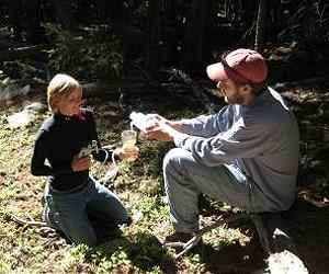 Elevated Zinc Concentrations Caused By Climate Change