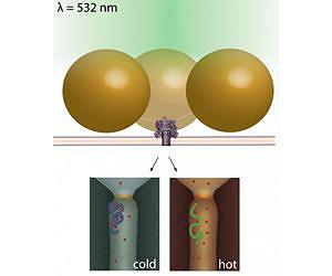 Temp-controlled 'nanopores' may allow detailed blood analysis
