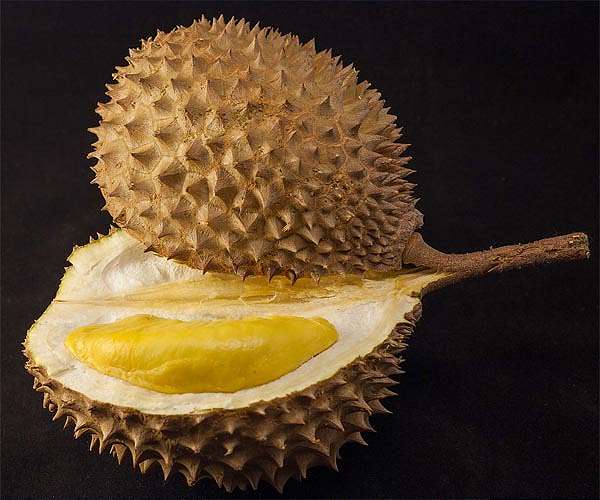 Heatwave hammers Thailand's stinky but lucrative durian farms