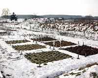 Climate Change Enhances Grassland Productivity